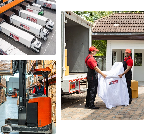 moving company in brisbne