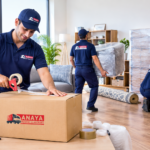 How to Choose the Best Movers and Packers in Brisbane